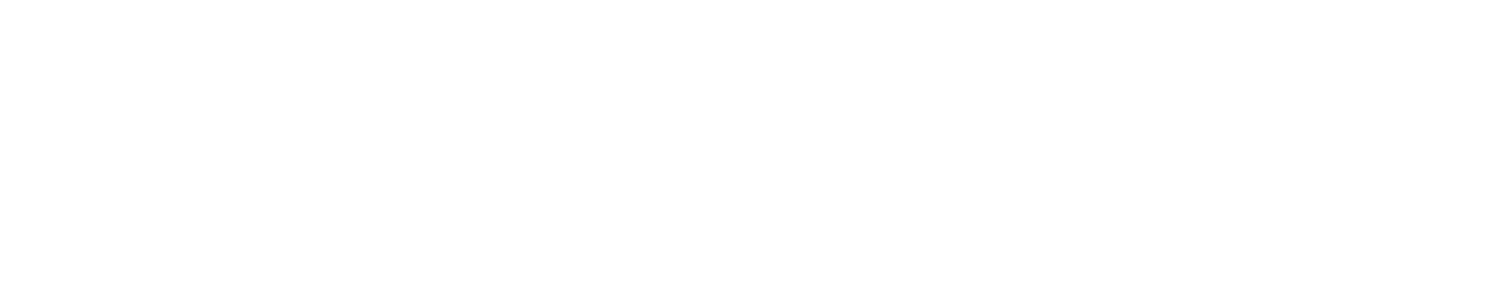 Sportigio